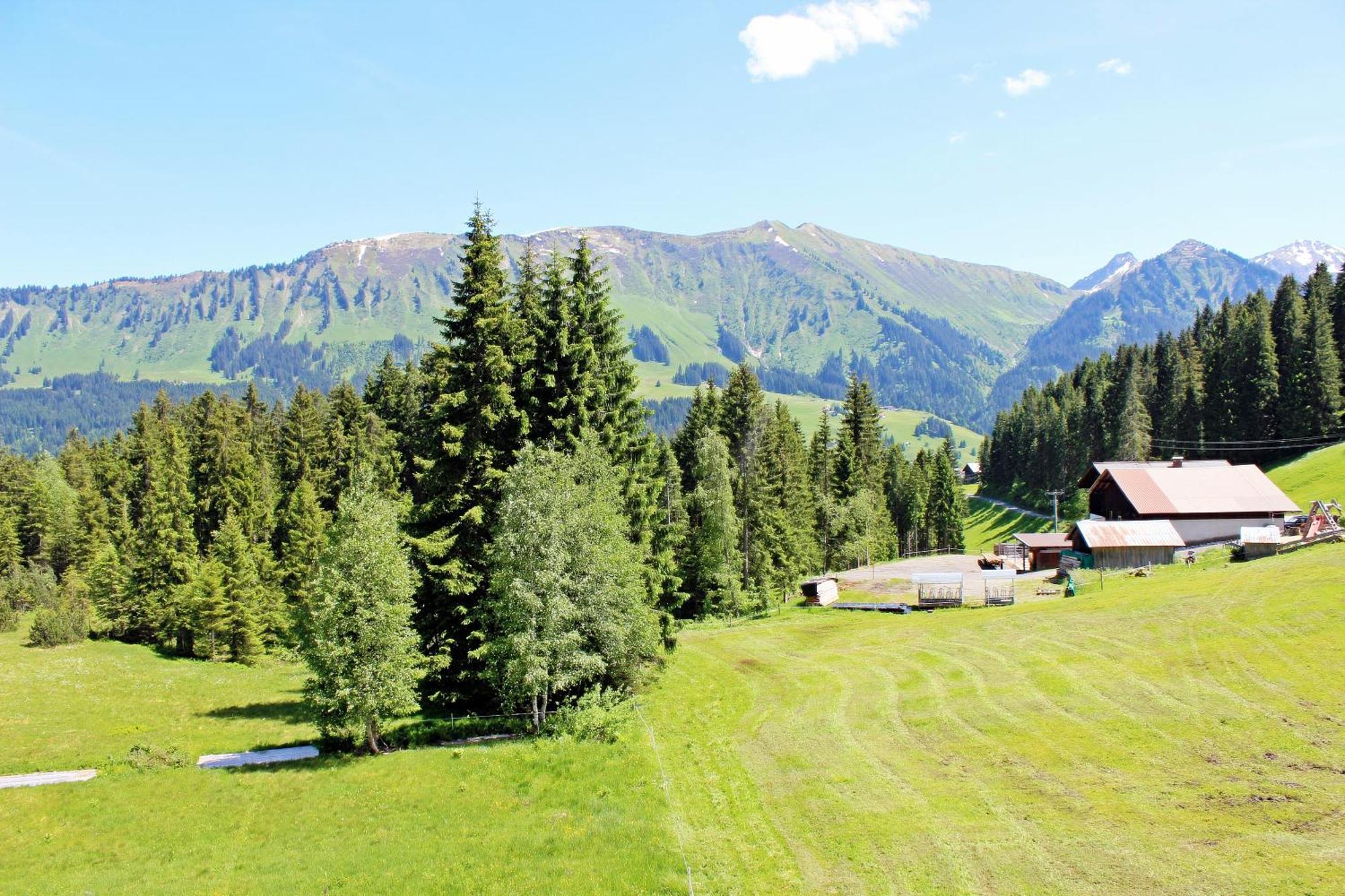 Hotel Alpengasthof Hoernlepass à Riezlern Chambre photo